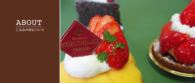 ABOUT-くるみの木について-